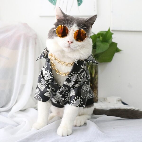 Pet Sunglasses Dog Eye wear Cat Glasses Little Dog Glasses Photos Props Dog Cat Accessories Pet 11.jpg 640x640 11