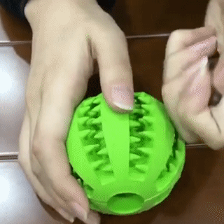 Pelota de Limpieza – YourPets.co