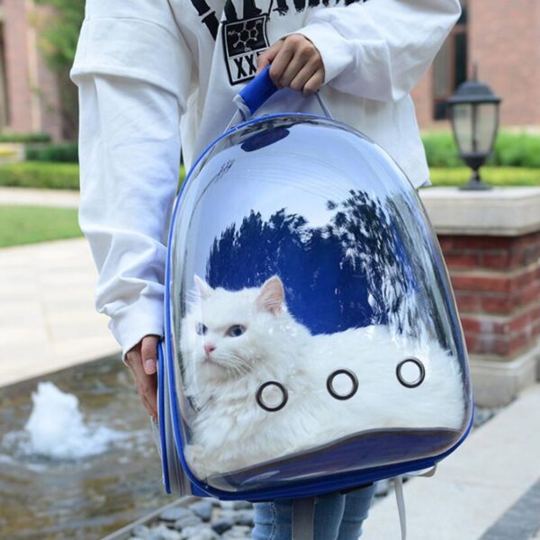 Cat carrying Backpack for Kitty Puppy Chihuahua Pet Carrier Transparent Capsule Breathable Outdoor Travel Cat Bag 4