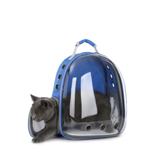 Super-Capsule Backpack Carrier