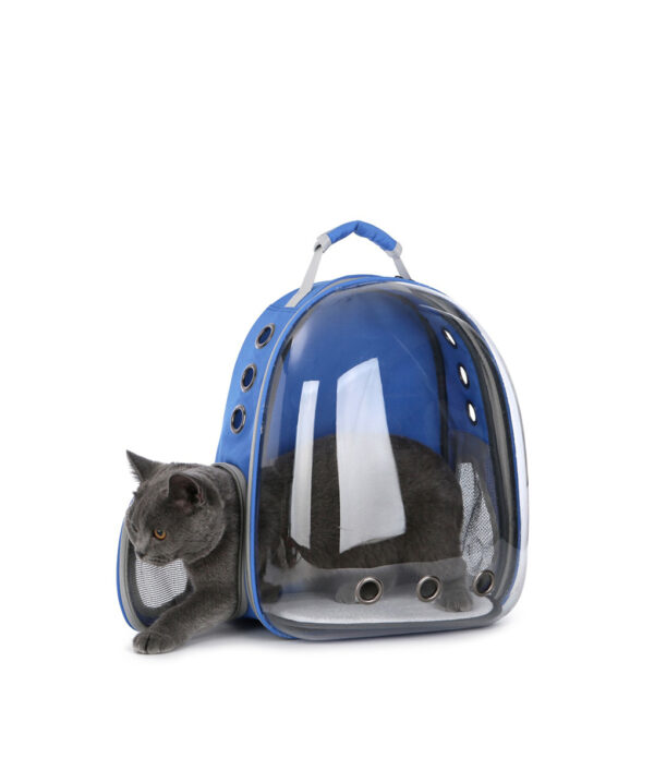 I-Super-Capsule Backpack Carrier