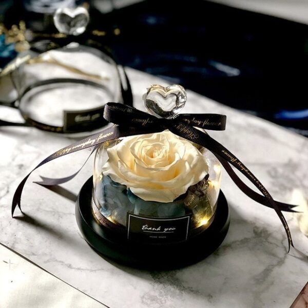 Exclusive Rose in Glass Dome with Lights Real Rose Beauty And The Beast Preserved Rosevalentines day 1.jpg 640x640 1