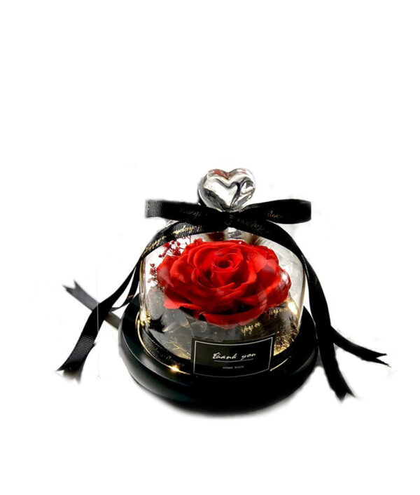 Exclusive Rose in Glass Dome with Lights Real Rose Beauty And The Beast Preserved Rosevalentines day 2 1