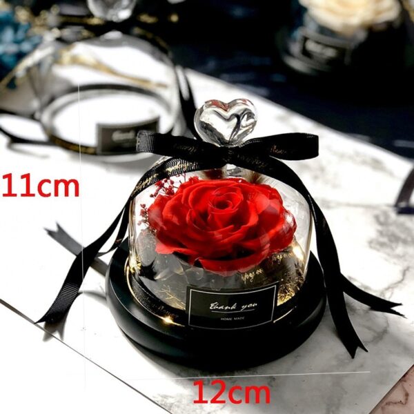 Exclusive Rose in Glass Dome with Lights Real Rose Beauty And The Beast Preserved Rosevalentines day 2
