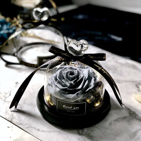 Exclusive Rose in Glass Dome with Lights Real Rose Beauty And The Beast Preserved Rosevalentines day 3