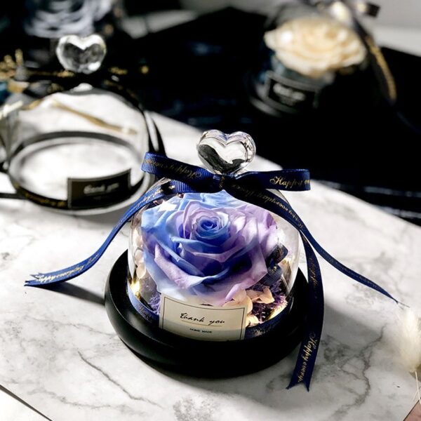 Exclusive Rose in Glass Dome with Lights Real Rose Beauty And The Beast Preserved Rosevalentines day 4