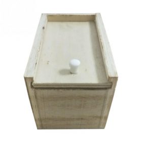 Spider Box Prank - image 2
