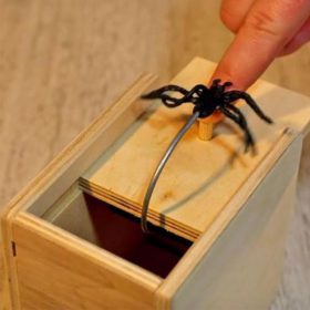 Spider Box Prank - image 5