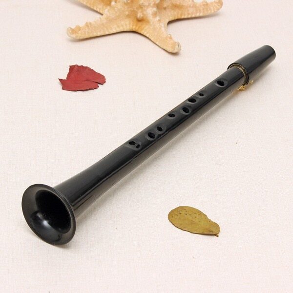 Portable Little Sax Mini Sax Saxophone Alto Pocket Xaphono C Key Woodwind With Durable Reed Mouthpiece 1