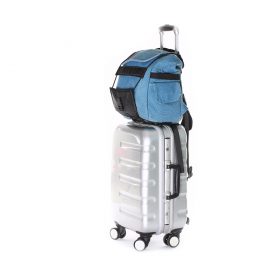Elastic Luggage Strap - image 1