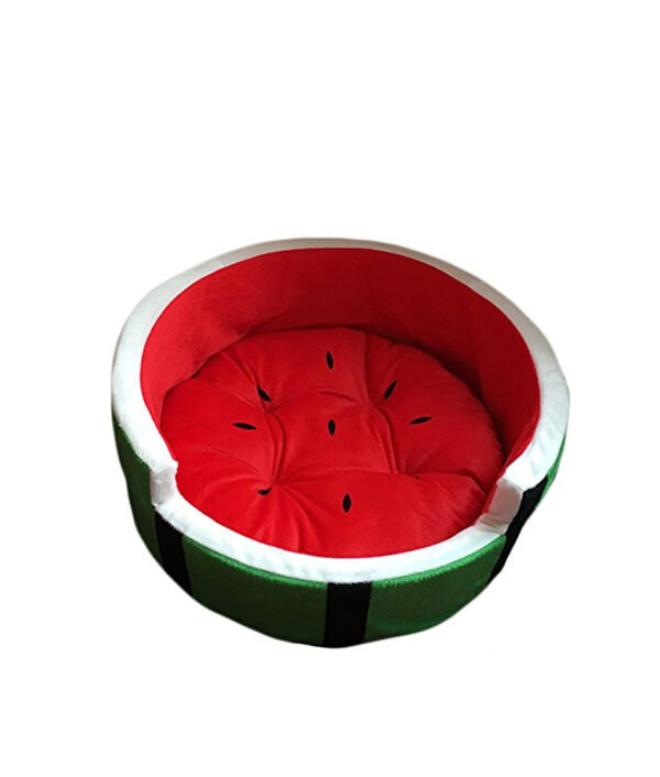 Watermelon Dog Bed
