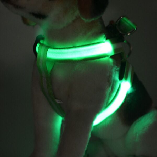 C02 Ang striped pet dog LED light harnesses pet belt masanag nga dog harness para sa medium large dogs 1