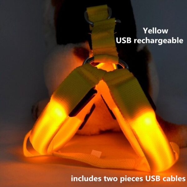 C02 Striped pet dog LED light harnesses pet belt luminous dog harness for medium large dogs 11.jpg 640x640 11