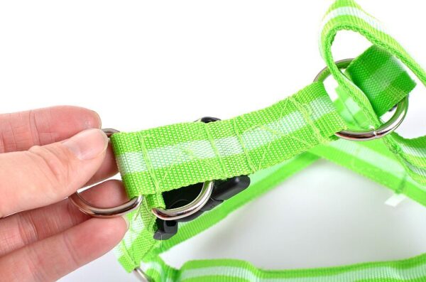 C02 Striped pet dog LED light harnesses pet belt luminous dog harness alang sa medium nga daghang iro 2