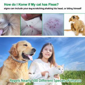 Anti Flea & Tick Dog Collar - image 3