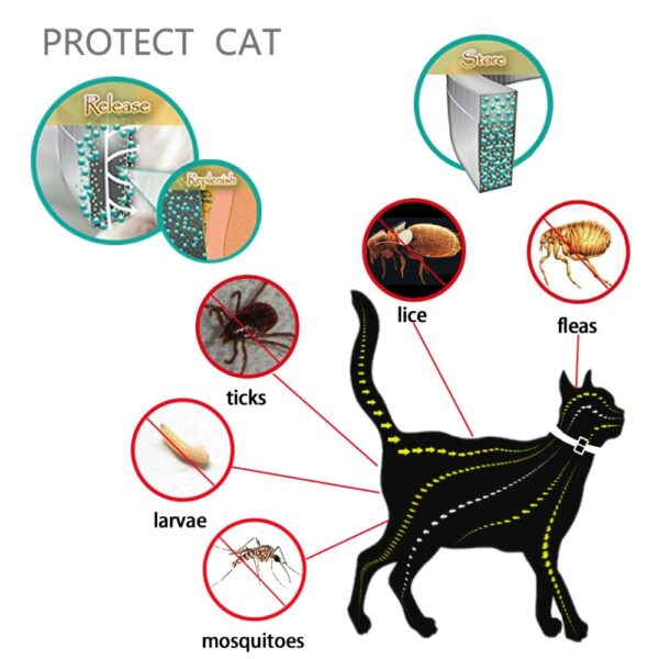 Dewel Simmer Anti insect Kattehûnekraach Anti Flea Mosquitoes Ticks Wetterdicht Cat Flea Collar foar 1