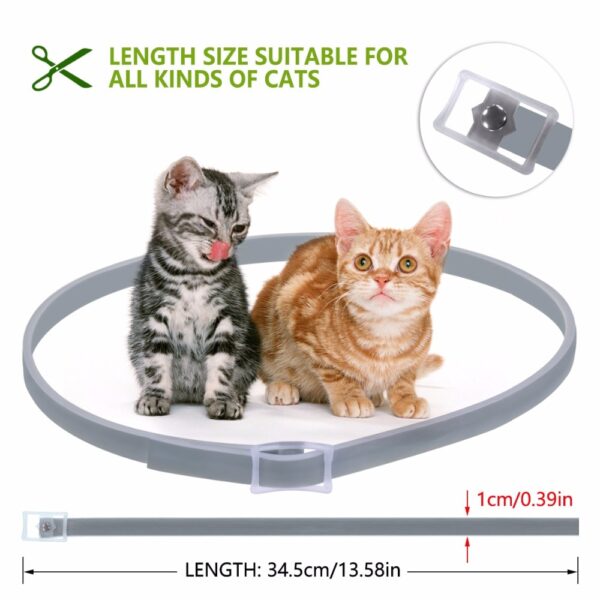 Dewel Summer Anti insect Cat Dog Collar Anti Flea Mosquitoes Ticks Waterproof Cat Flea Collar for 4