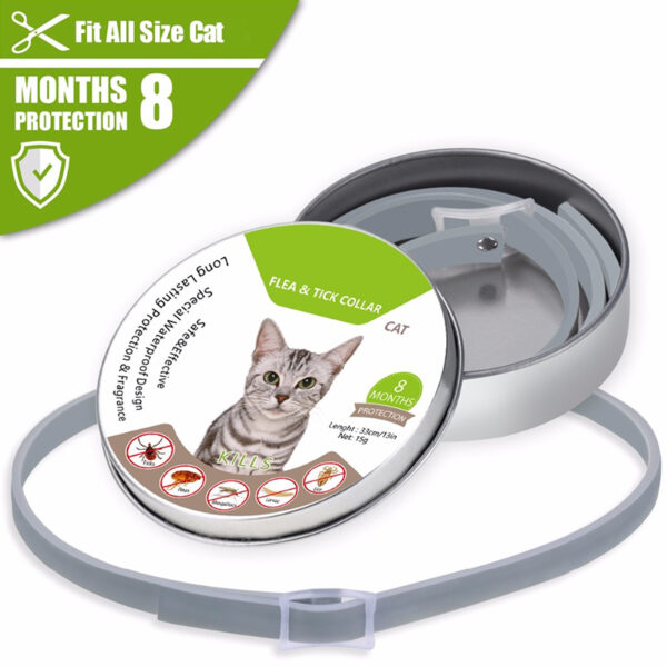 Dewel Simmer Anti insect Kattehûnekraach Anti Flea Mosquitoes Ticks Wetterdicht Cat Flea Collar foar 6