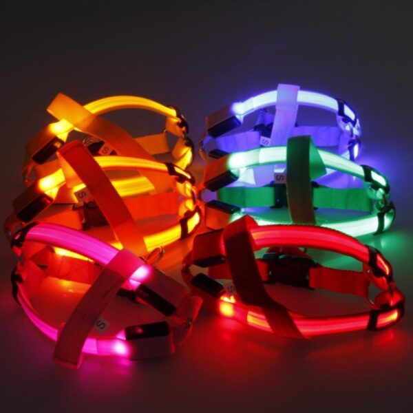 cool nylon led dog harness for small and large dogs 6 colors available 2525121151072