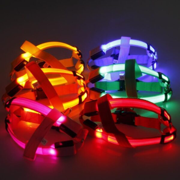 cool nylon led dog harness for small and large dogs 6 colors available 2525121151072