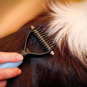 Pet Knots Remover, Pet Knots Remover