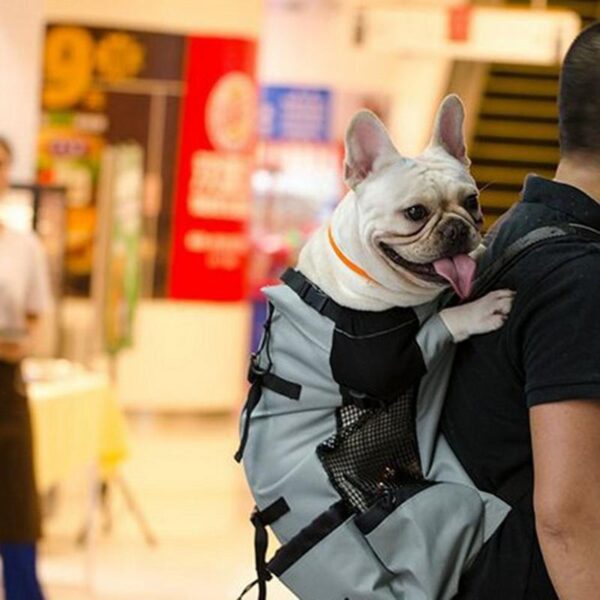 Dog Carrier Pet Shoulder Traveler Backpack Dog Outcrop Bags Ventilation Breathable Washable Outdoor Bicycle Hiking Backpack