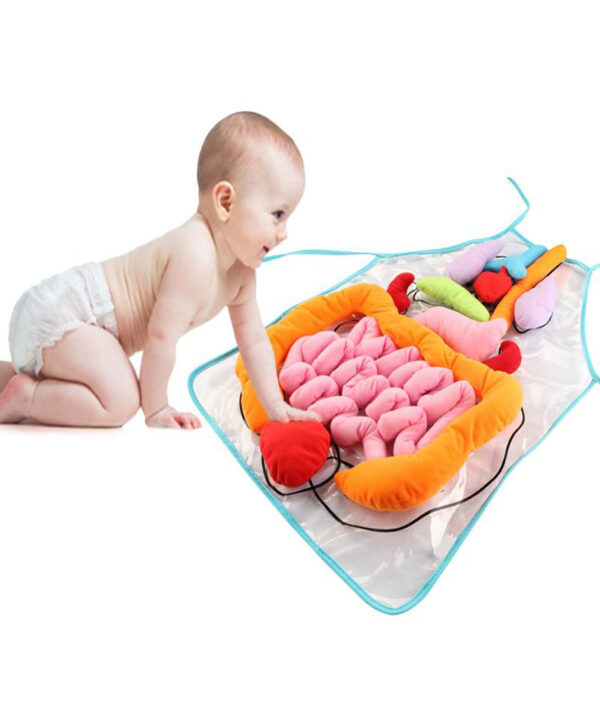 Educational Insights Toys For Children Anatomy Apron Human Body Organs Awareness Preschool Science Home School Teaching 3 1