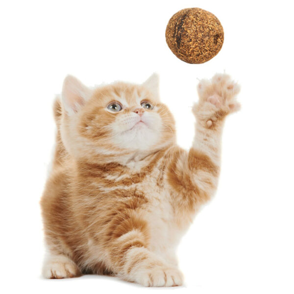 Pet Cat Natural Catnip Treat Ball Favor Home Chasing Toys Healthy Safe Edible Treating 1 1