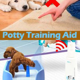 Potty Training Aid - image 2