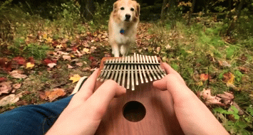 Kalimba, Gorgeous 17 Keys Kalimba
