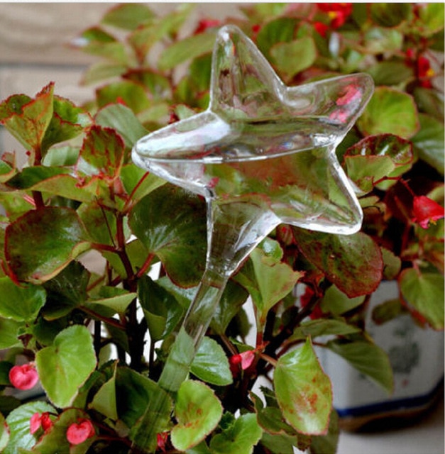 Self Watering Plant Glass Bulbs Not Sold In Stores