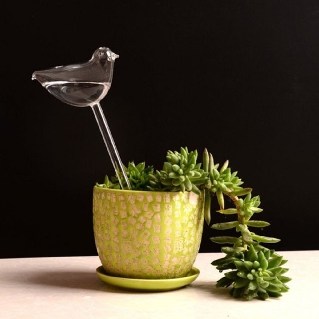 SelfWatering Plant Glass Bulbs Not sold in stores