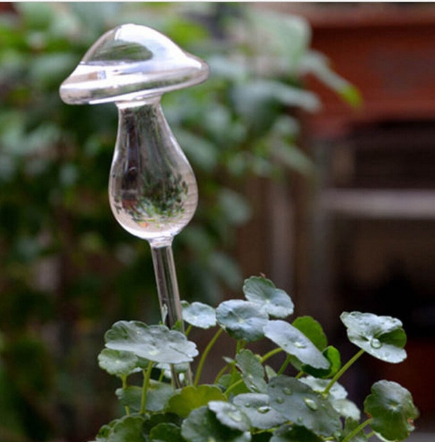 Self Watering Plant Glass Bulbs Not Sold In Stores