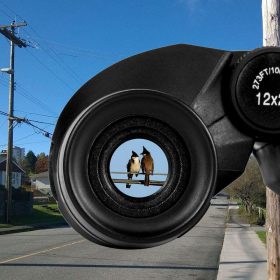 Night Vision Binoculars - image 5