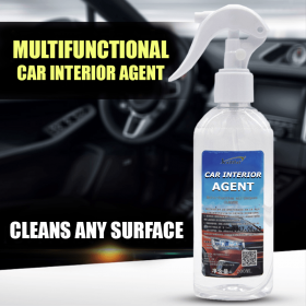 Multi-functional Car Interior Agent - image 3
