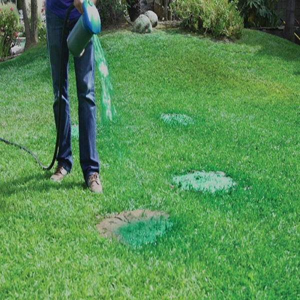 WOWCC Seed Sprinkler Liquid Lawn System Grass Seed Sprayer Plastika manondraka afaka manondrotra haingana sy mora 4