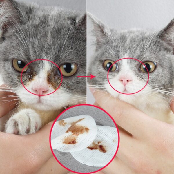 100 stk Hunderengjøringspapirhåndklær Pet Eye våtservietter Katt tåreflekkfjerner Skånsom Ikke fascinerende 3