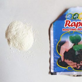 Rapid Rooting Powder - image 2