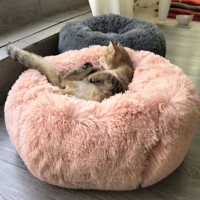 Joopzy dog bed deals