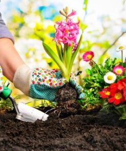 consejos de seguridad y salud en jardineria large