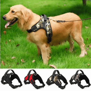 Adjustable Pet Harness