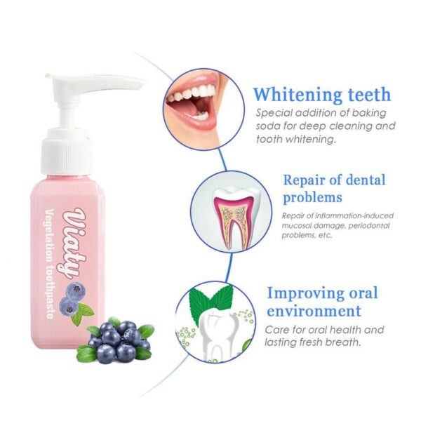 100ml Push Type Blueberry Vegetation Toothpaste Tooth Whitening Health Beauty Tool Dental Oral Care Easy Safe 2