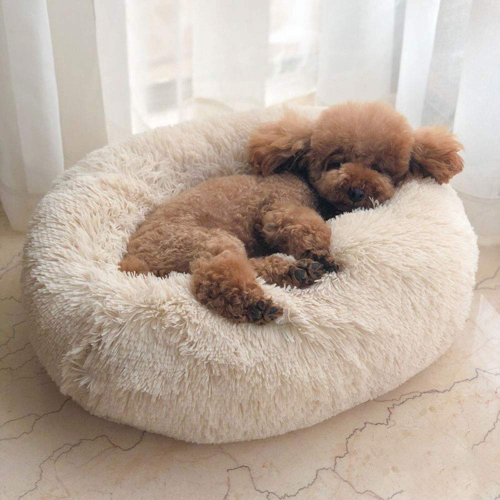 the calming pet bed