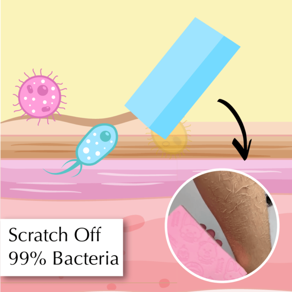 ExfoliatingSponge 02 e562f11e d9f5 4c38 8b6d 305aa696200d 1024x1024