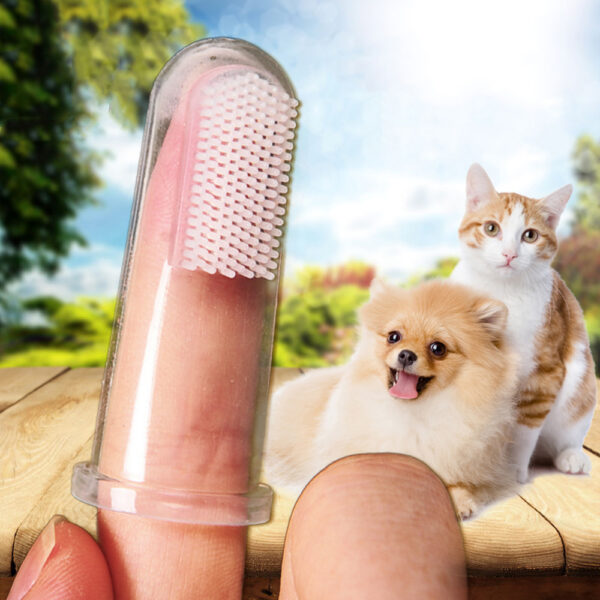 Bag-ong Hot Selling Super Soft Pet Finger Toothbrush Teddy Dog Brush Bad Breath Tartar Teeth Tool