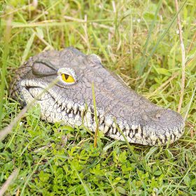 Floating Crocodile Head - image 2