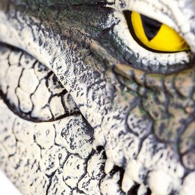 Floating Crocodile Head - image 6