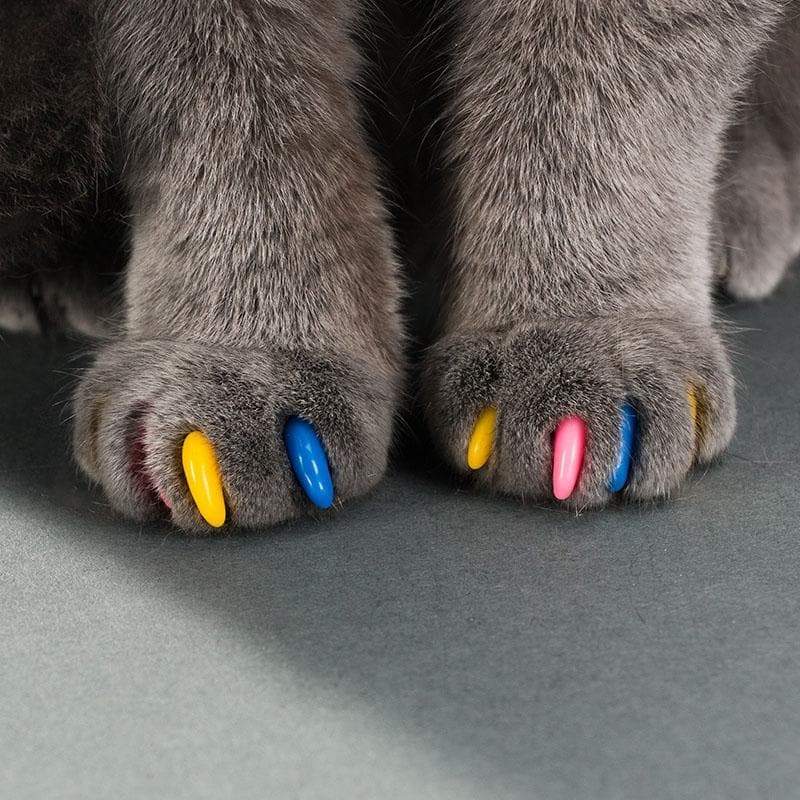 Cat Nail Caps - Not sold in stores