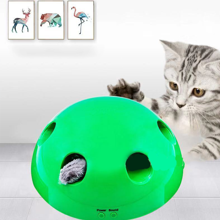 interactive motion cat toy
