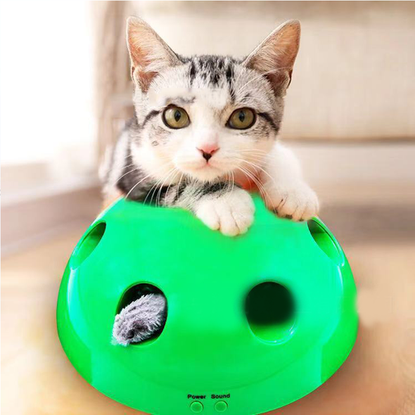 interactive motion cat toy